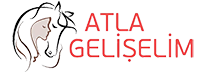 Atla Gelişelim